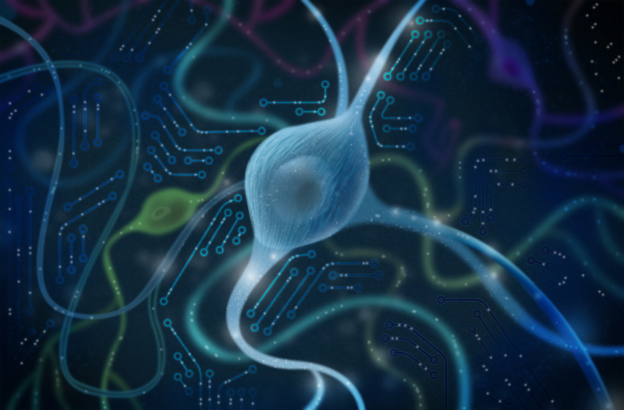 The Power of Microdialysis for CNS Therapeutics Drug Development 