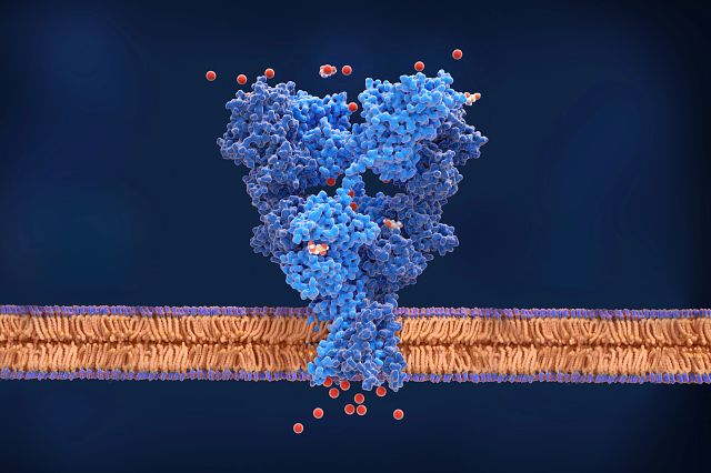 A graphic render of an ion channel