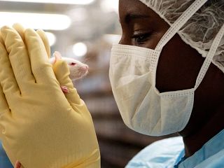 Photo of a lab technician holding a white rat.