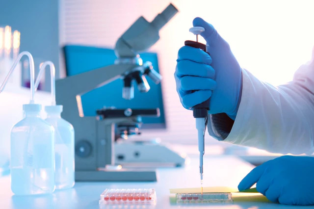 In a lab setting, gloved hand of a scientist is pipetting assay medium onto a 96-well assay plate.