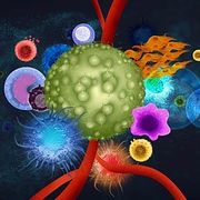 rendering of a Cancer Cell-based Assay