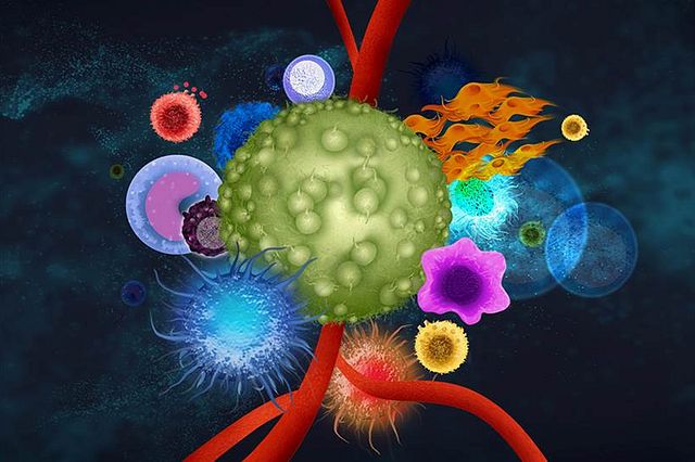 Image of tumor microenvironment