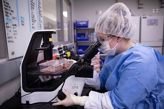 Insect Bank CGMP Cell Banking and Storage | Charles River