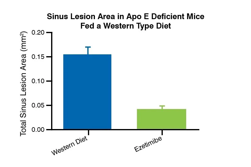 Bar chart on the right showing sinus lesion area in Apo E deficient mice fed a western type diet.