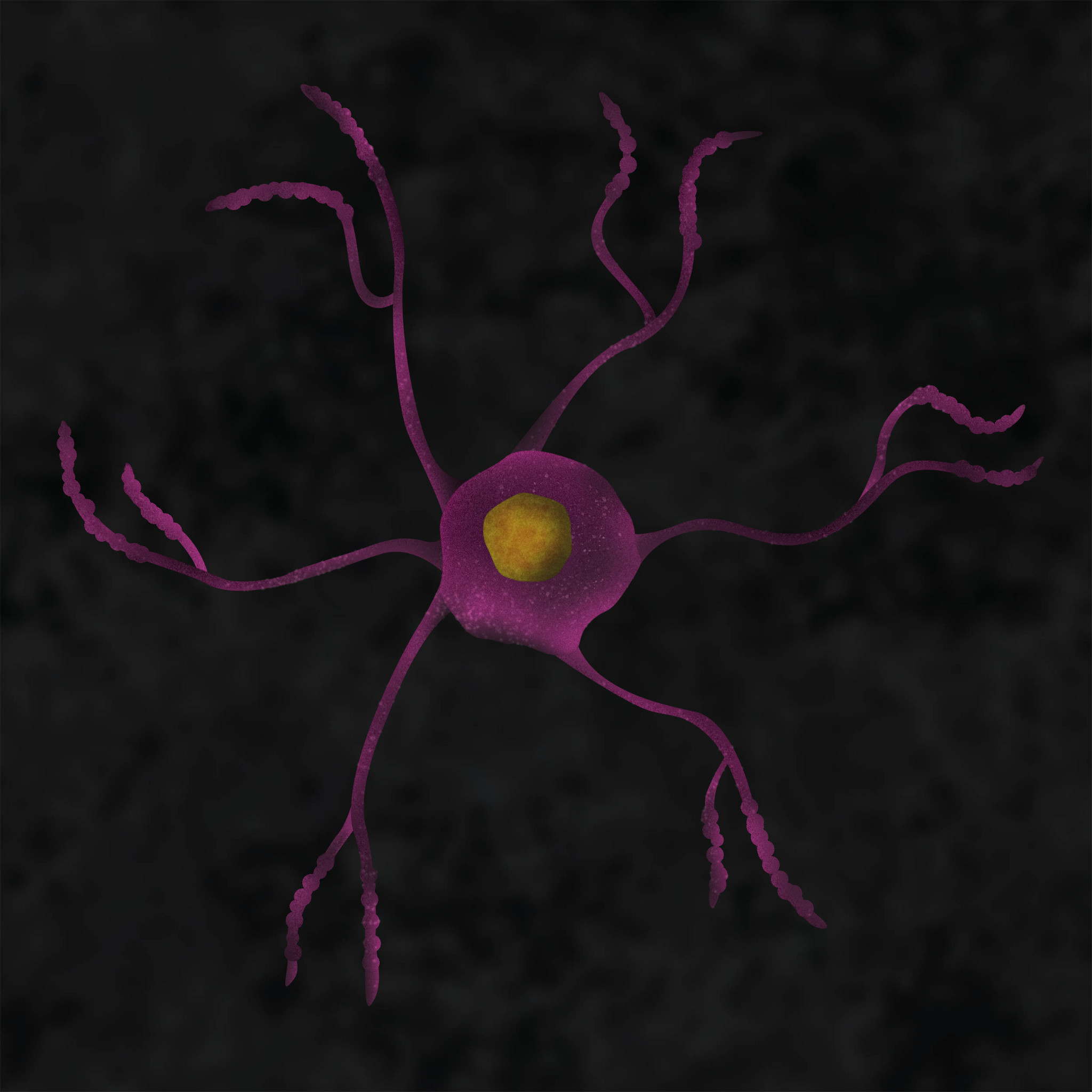 Neuroscience Illustration of Neuroinflammation