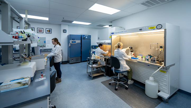 An image of three people working in a research lab