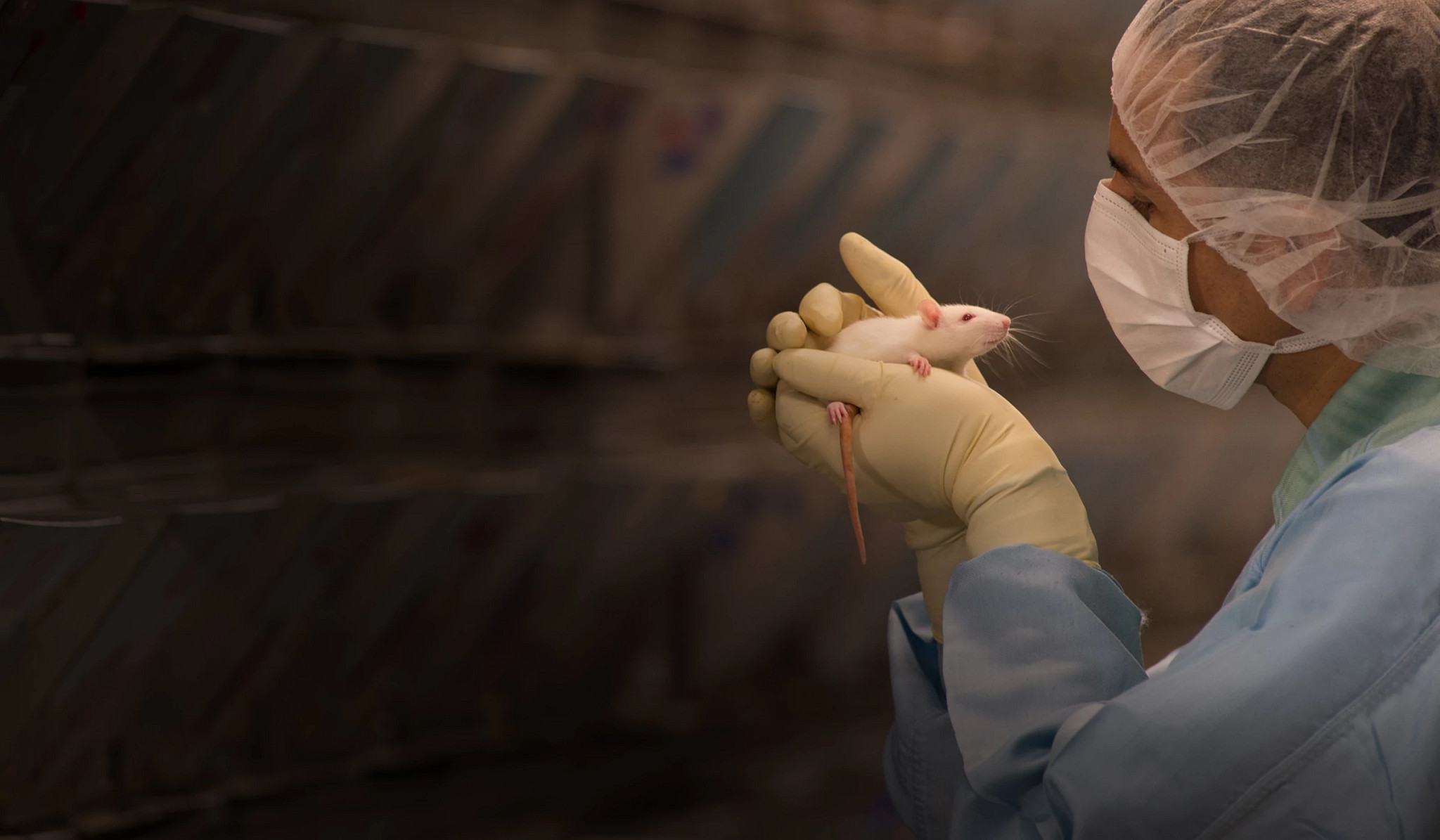 lab technician holding a white rat