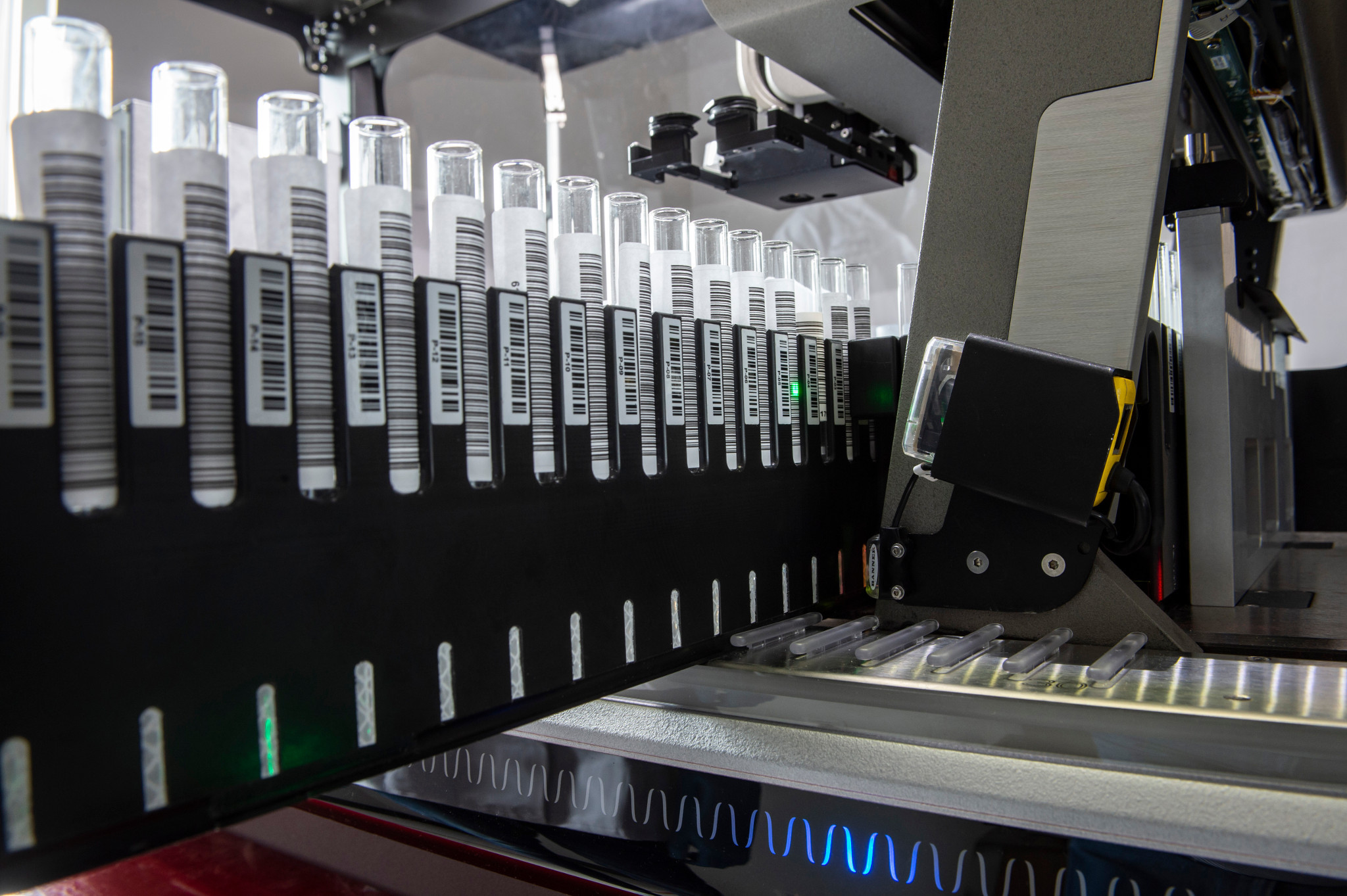nexus 200 microbial identification system
