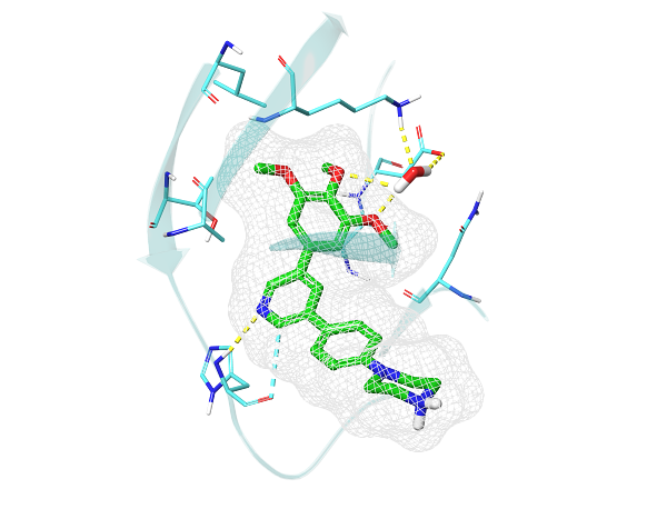 A small molecule shown in situ in a protein binding pocket, generated by CADD.