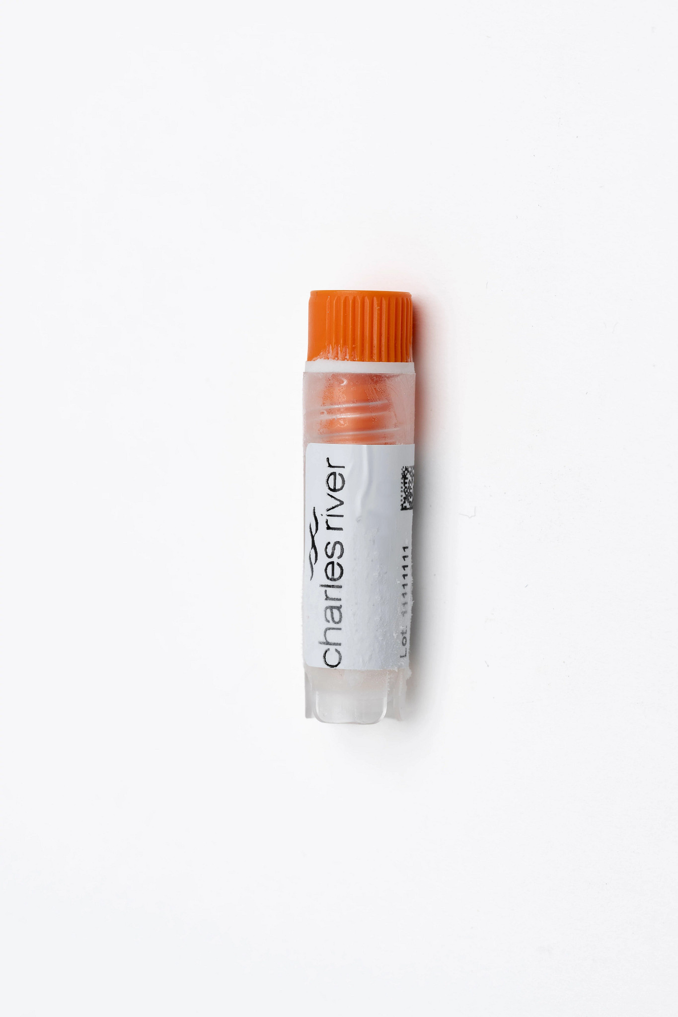frozen PBMC vial