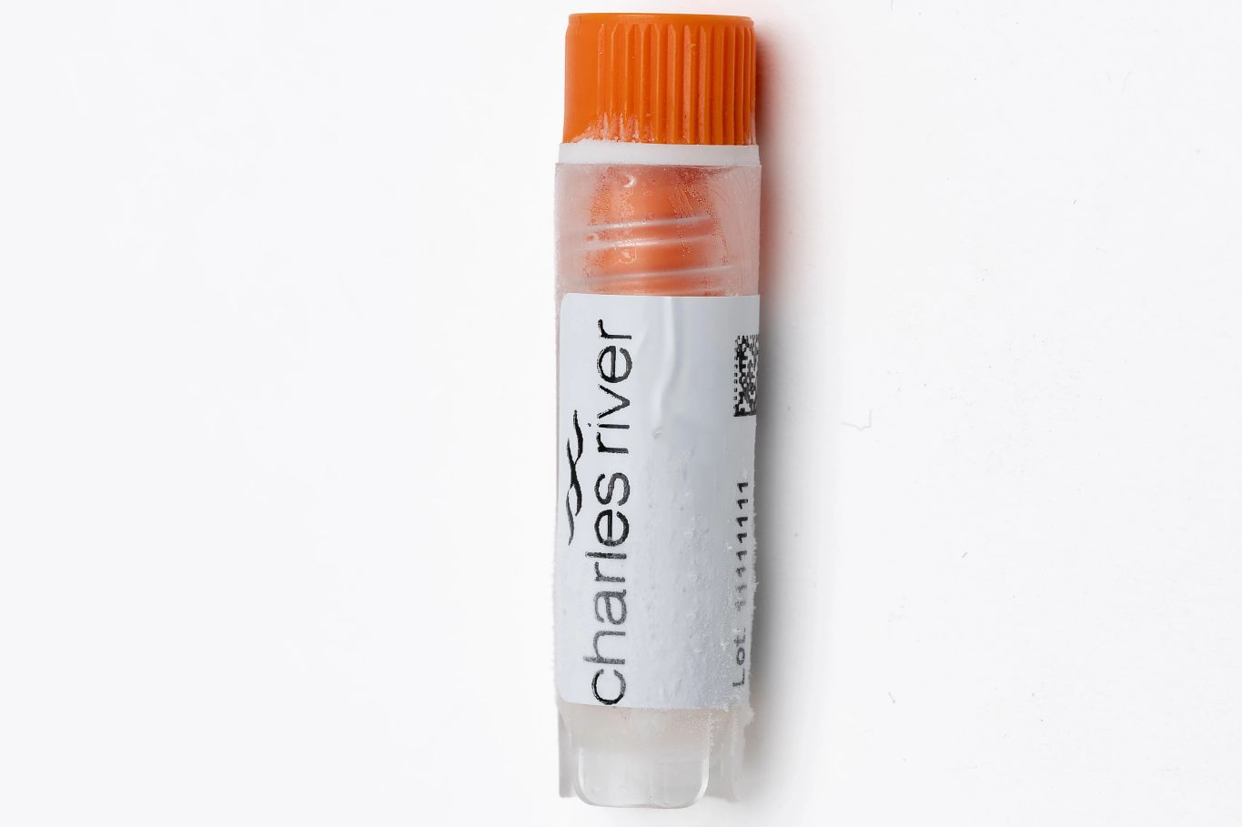 frozen PBMC vial