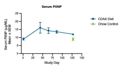 Line graph showing the serum PIINP biomarker for the CDAA Mouse Model