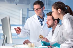 Program managers work hand-in-hand with our clients to ensure successful drug development programs that involve multiple toxicology, bioanalytical, pathology, and safety pharmacology studies.
