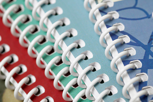 ICH M9 guidance for BCS classification based biowaivers offers recommendations for assay systems and setups, data interpretation, and eligibility criteria for filing.