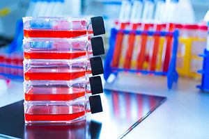 Flask of assays being used for a lot release testing program