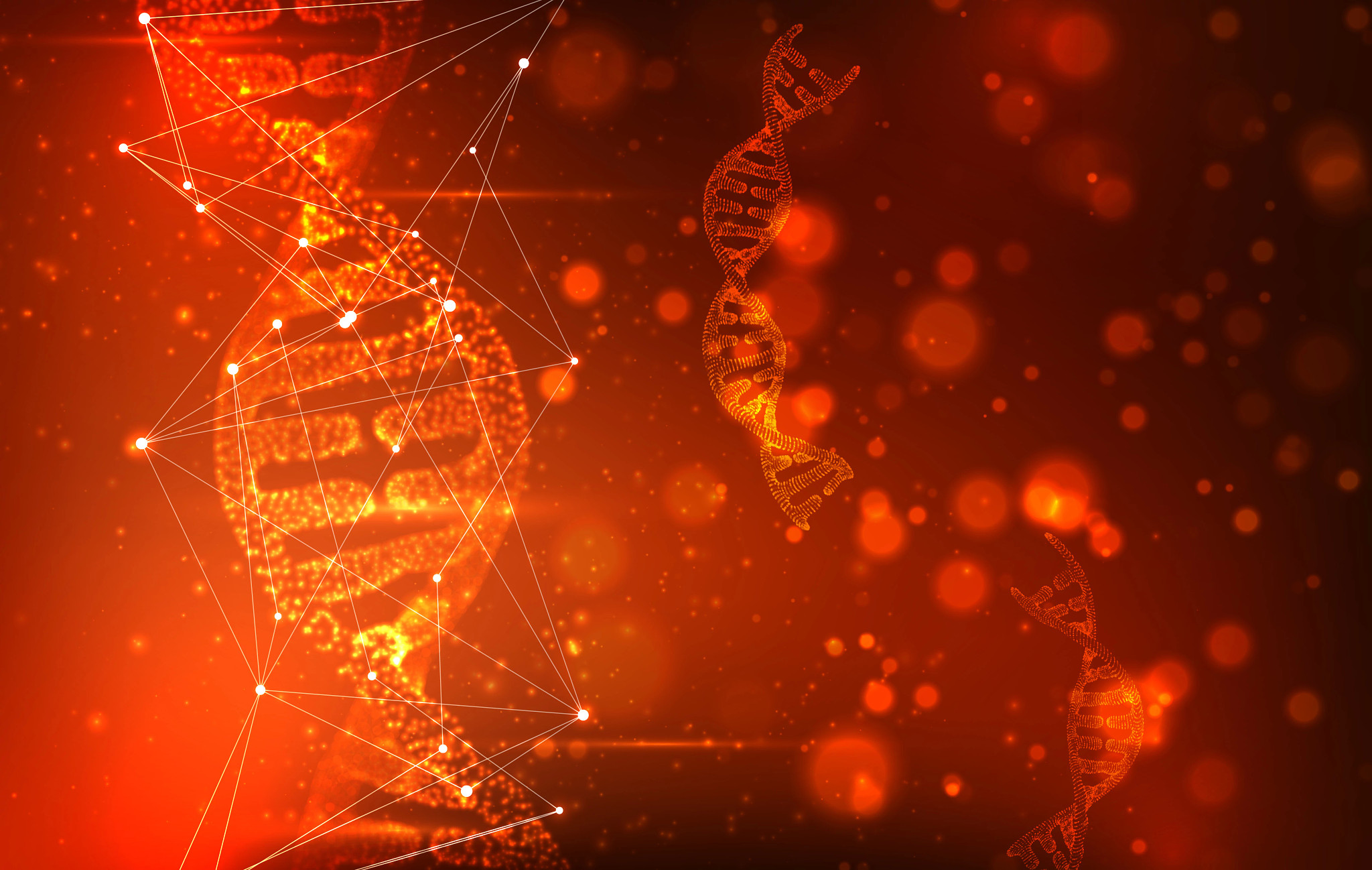 Part of the human DNA, Gene helix using abstract 3D backgrounds representing in vivo genotoxicity biochemistry, biology, biotechnology