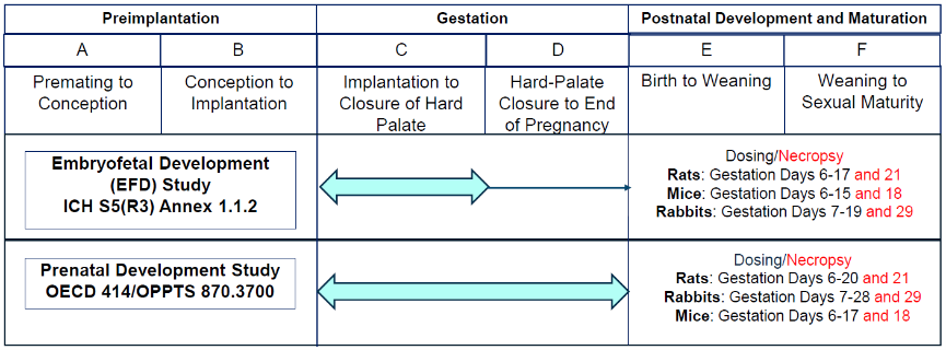 Understanding Prenatal Risk | Eureka