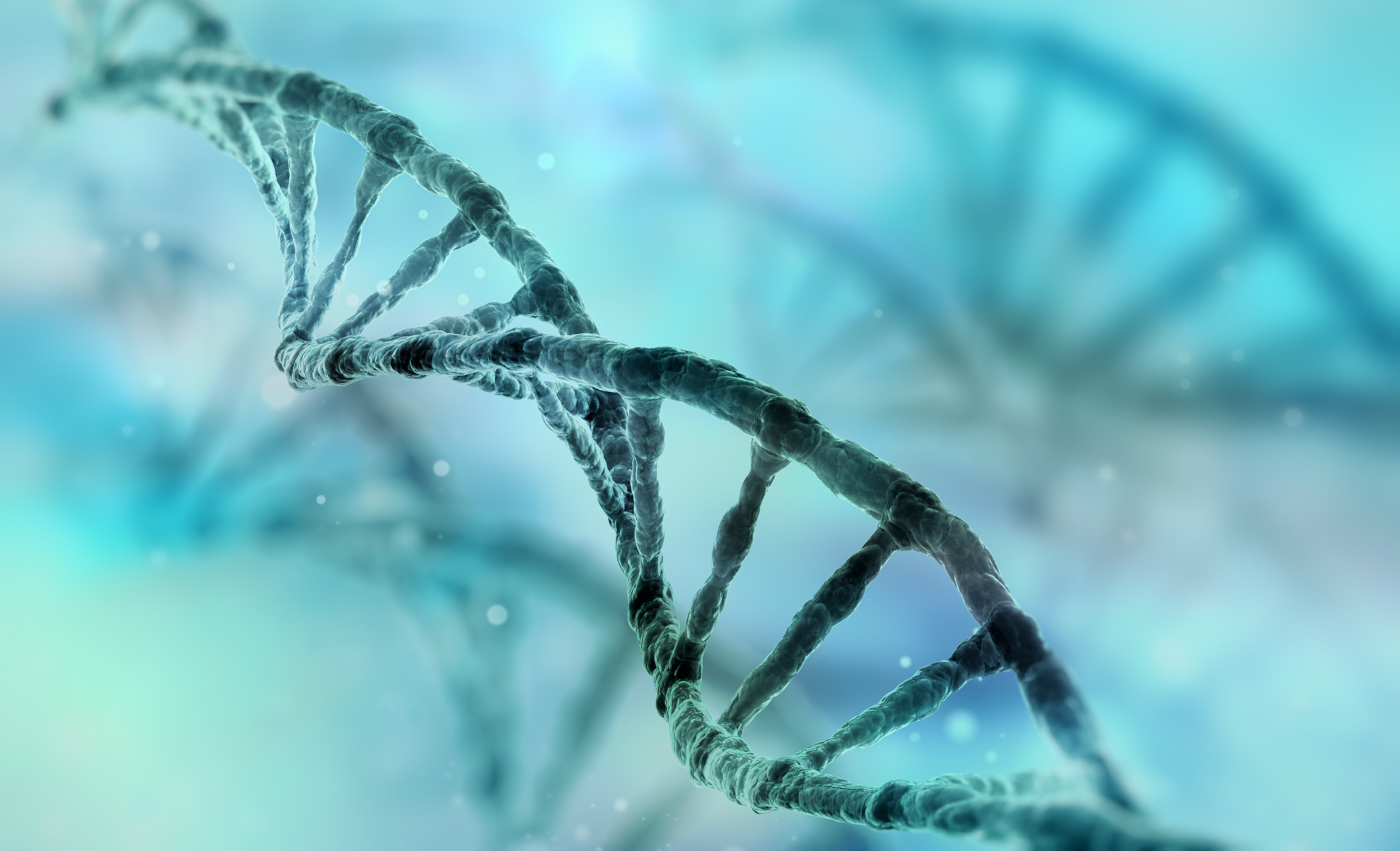 speed congenics with DNA marker