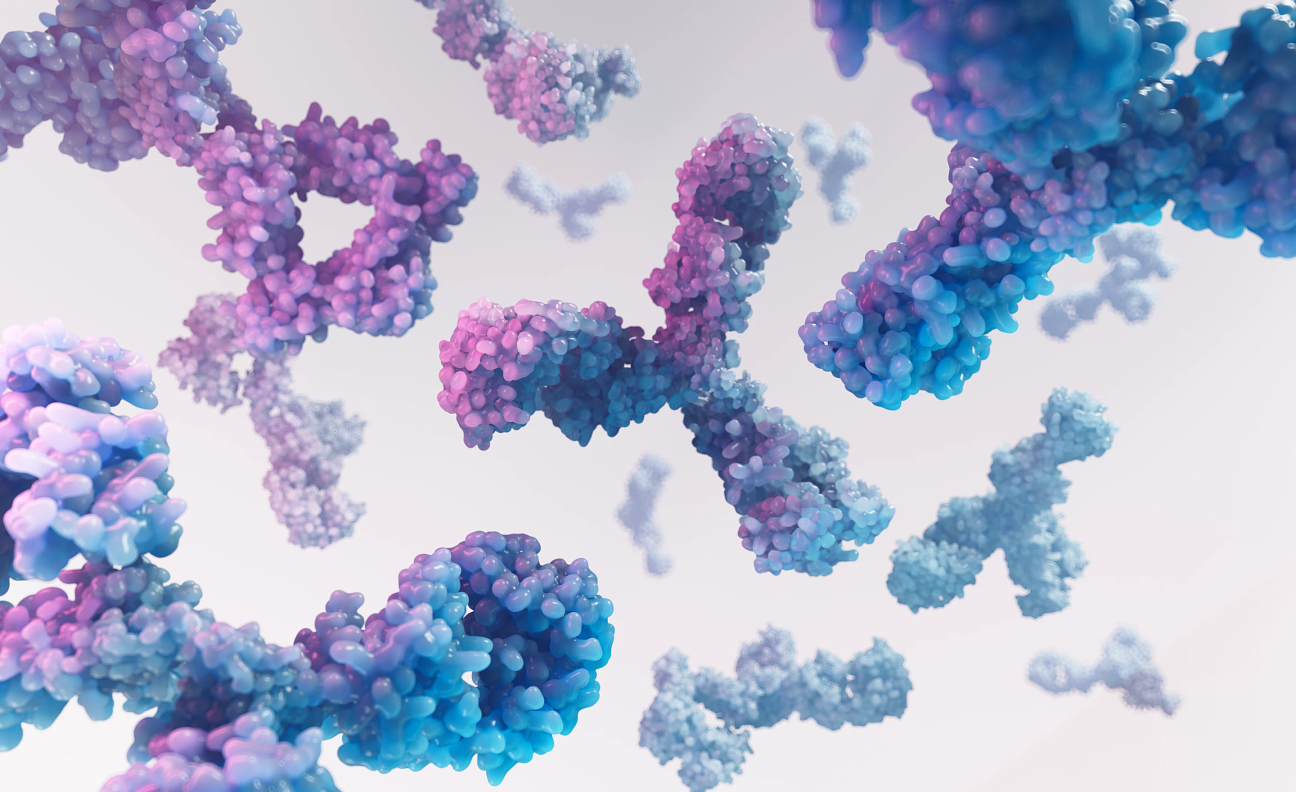 blue and purple antibodies