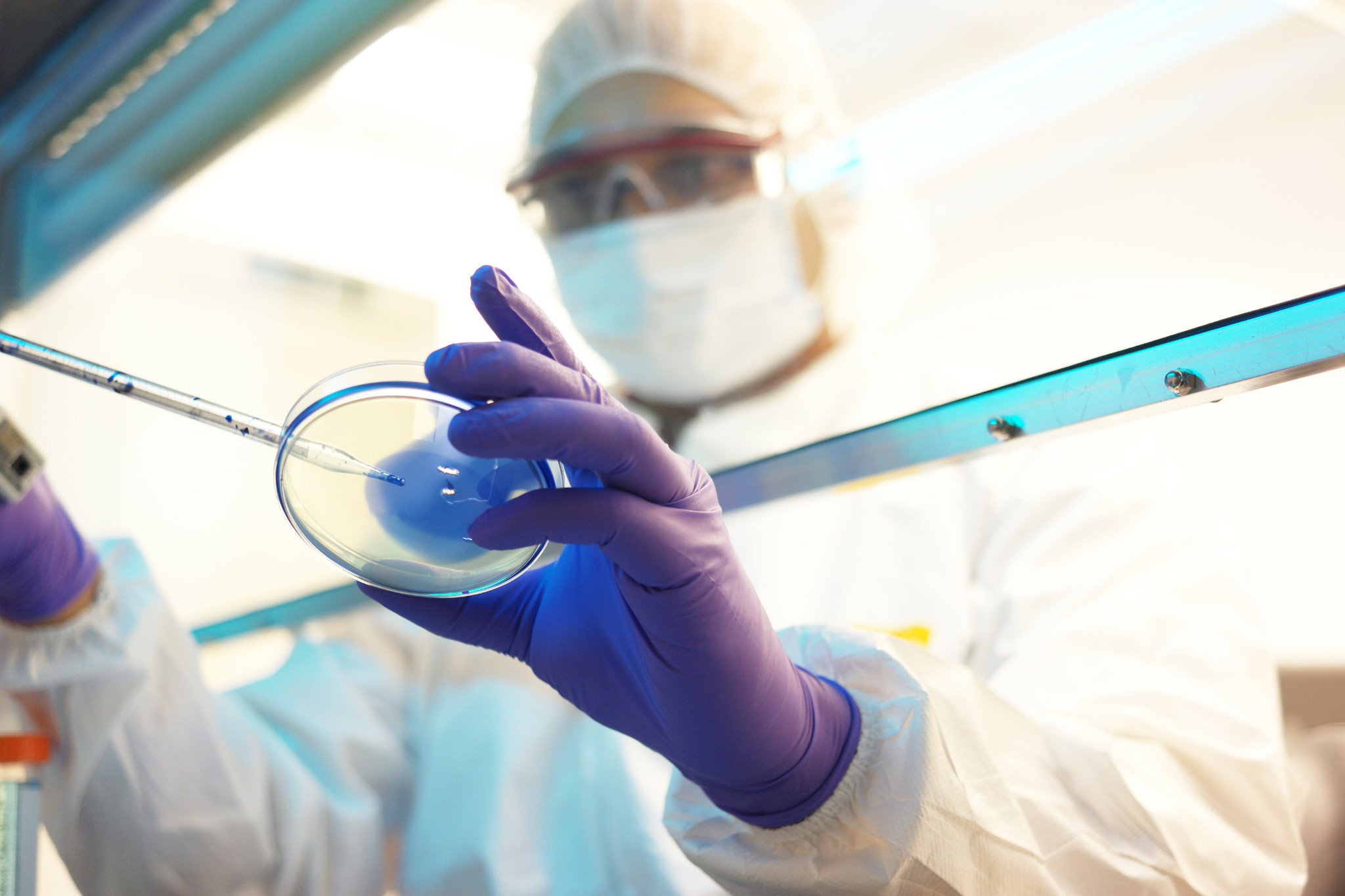 Scientist preparing a petri dish for an Ames assay.