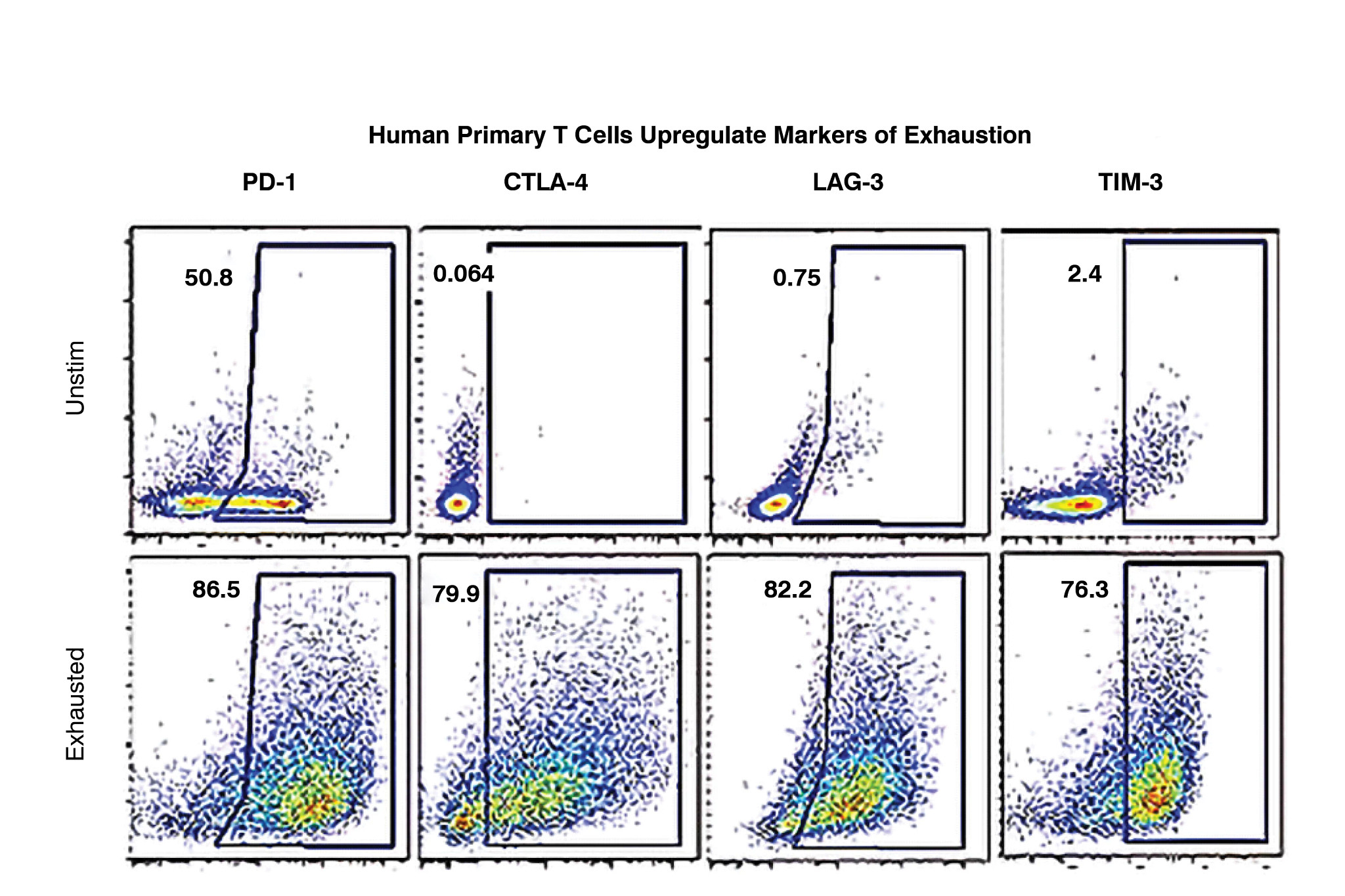 Graphs showing how Anti-LAG3 antibody dose-dependently enhances CD8+ T cell activation