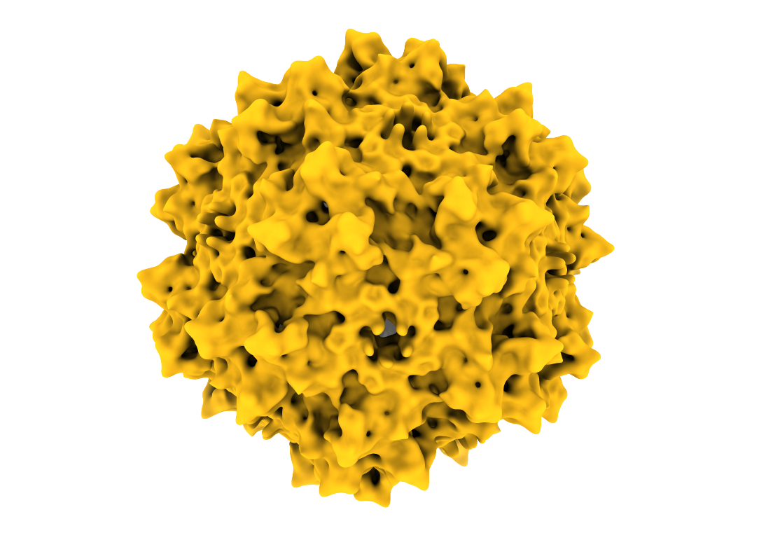 Cryo-EM determines the 3D structure of proteins to inform discovery.