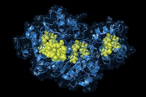 Cellular Structure of the ATP-Bioluminescence assay
