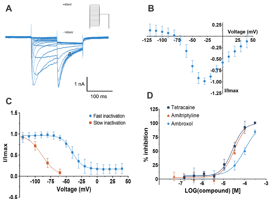 Charts showing NaV1.9 biophysical properties