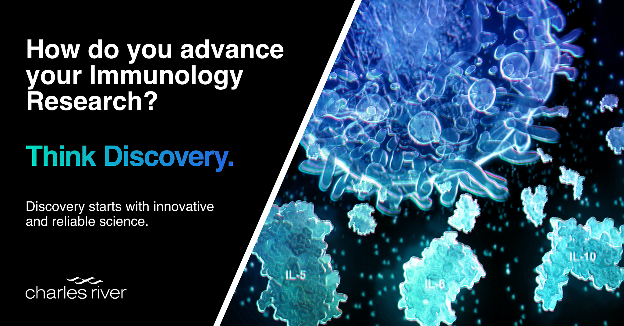 How do you advance your Immunology research? Think Discovery.