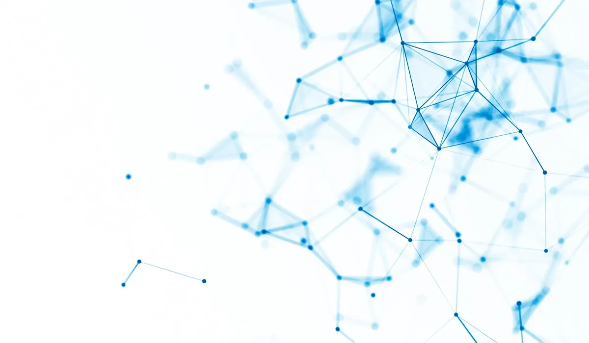 network of connections