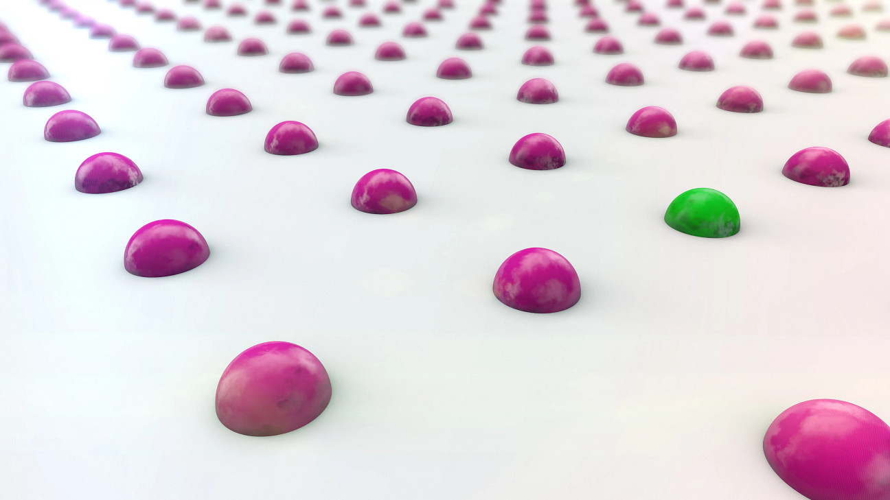 Rows of pink spherical cells with a single green cell standing out on a white surface, representing differentiation in a biological model