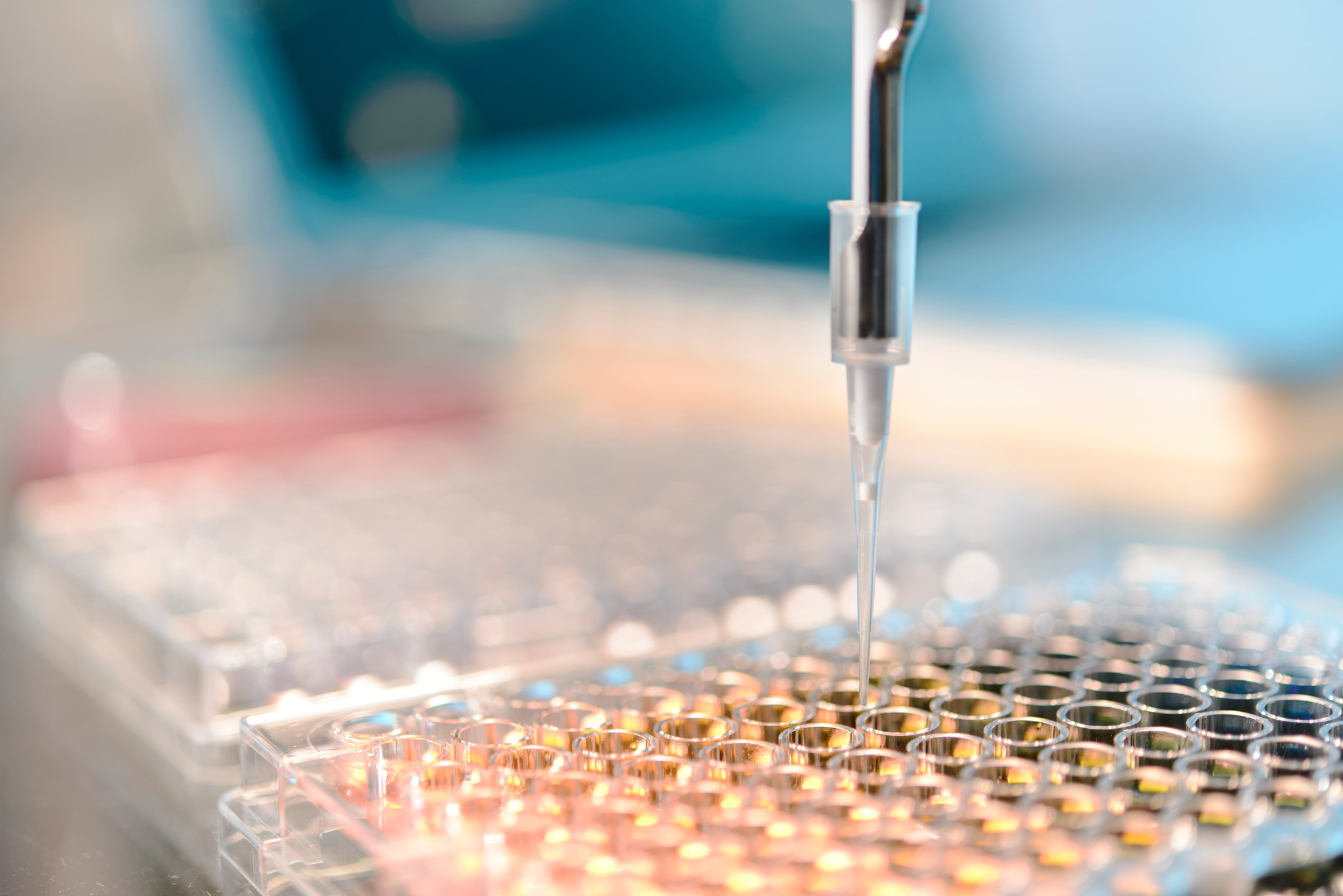 pipette and microwell plates