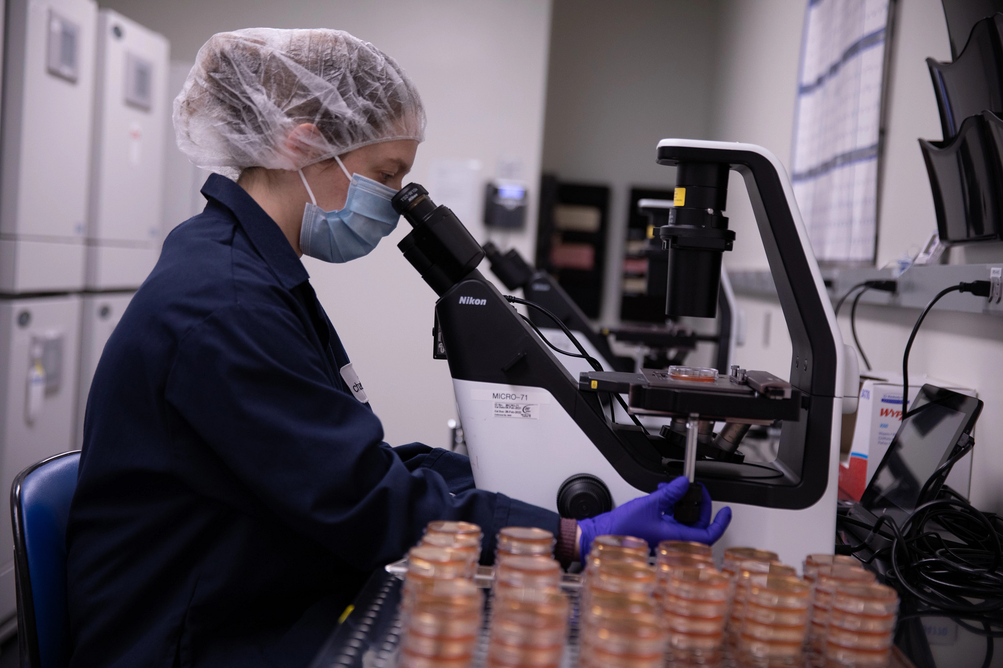 Scientist looking through a microscope at the Wilmington, MA Biologics Testing facility.