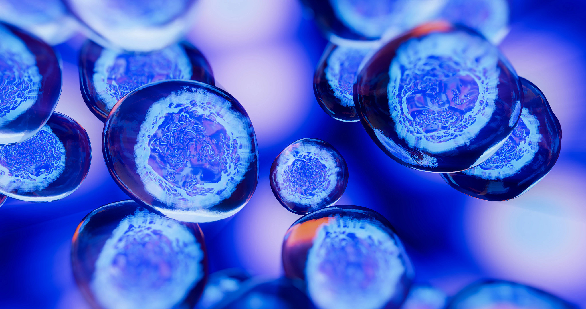 cell therapy manufacturing