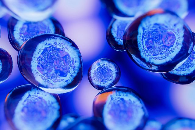 cell therapy manufacturing