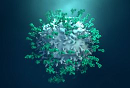 Charles River offers antibody development services using the SuperHuman antibody screening library, offering developability, diversity, and fully human VHH antibodies.