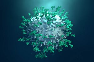 Checkpoint inhibitors assess by TDAR