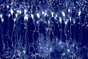 A thumbnail image of neurons with a blue backdrop.