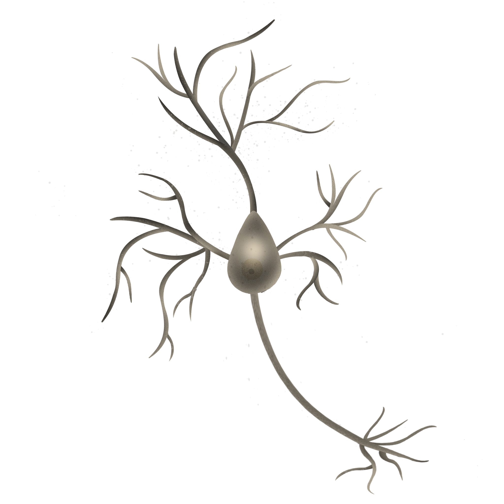 Image of a human brain neuron with a degenerating forebrain indicative of an Alzheimer’s disease.