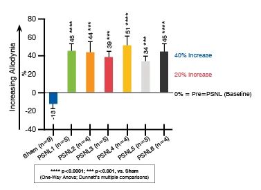 Partial Sciatic Nerve Ligation (PSNL) Validation Data. Bar chart showing PSNL Tactile Allodynia at Day 6 Post-PSNL percentage Allodynia Increase from Pre-PSNL.