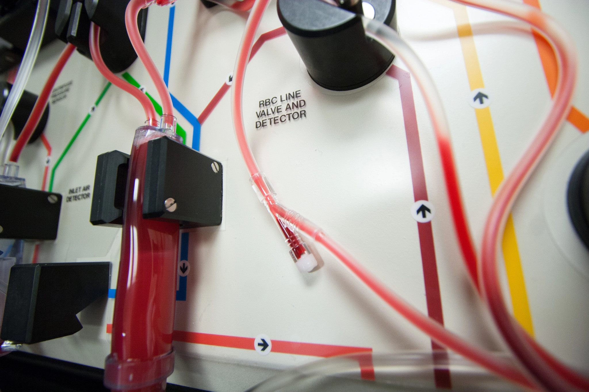 How to Optimize Material Quality for Cellular Therapeutics (Blog ...