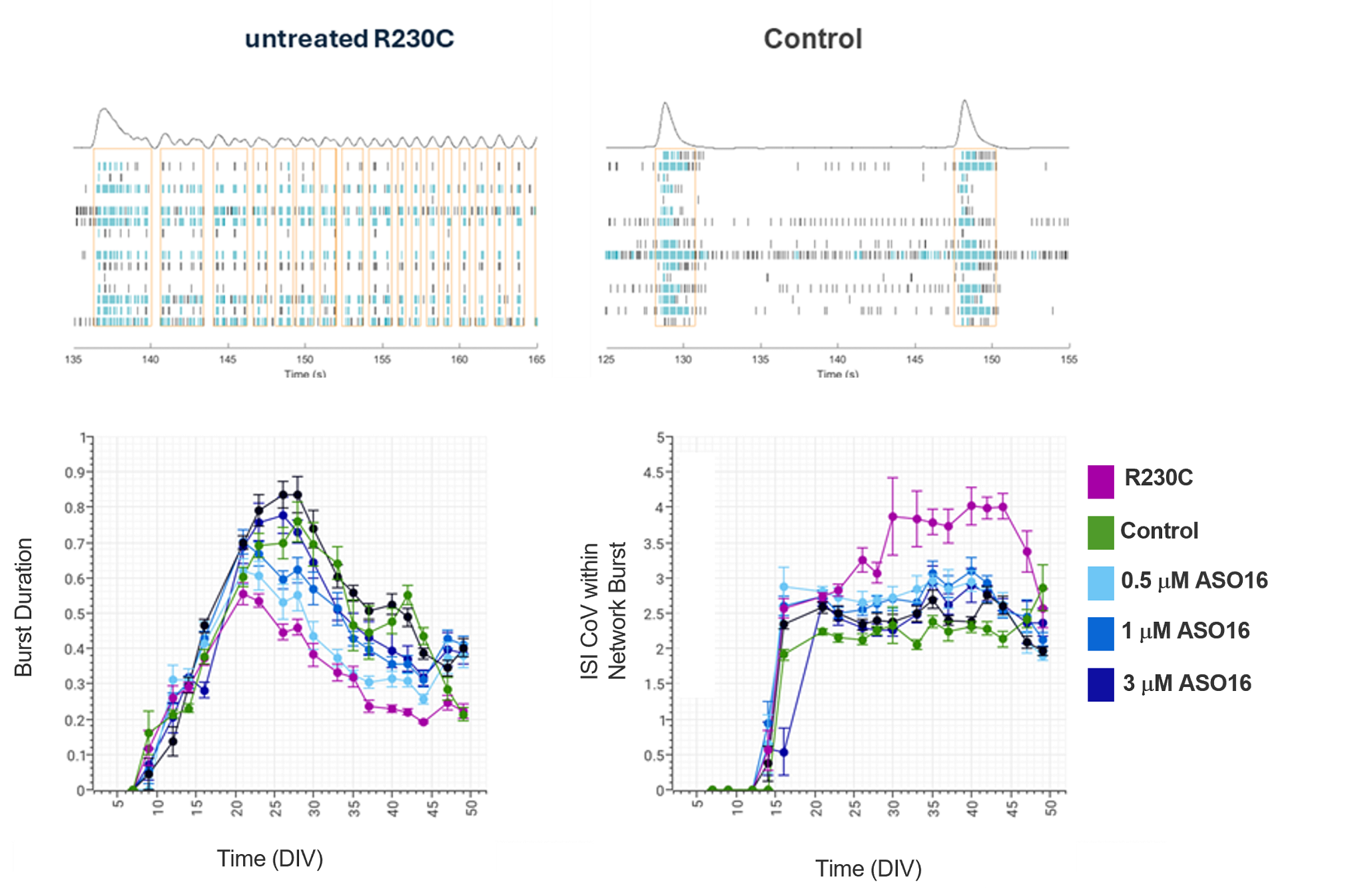 Charts showing KCNQ3 ASO MEA data