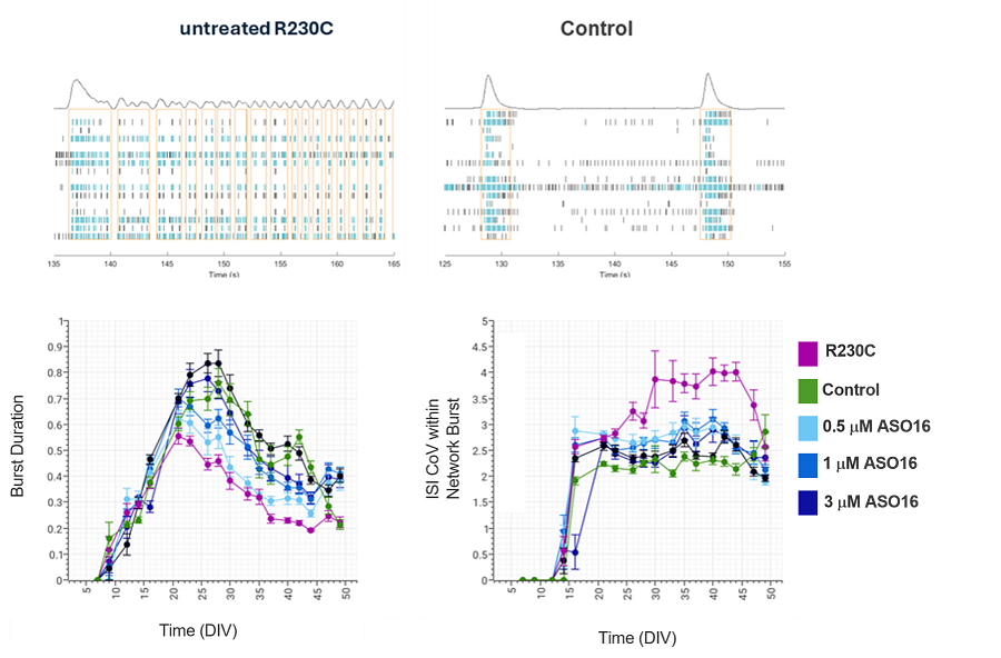 Charts showing KCNQ3 ASO MEA data