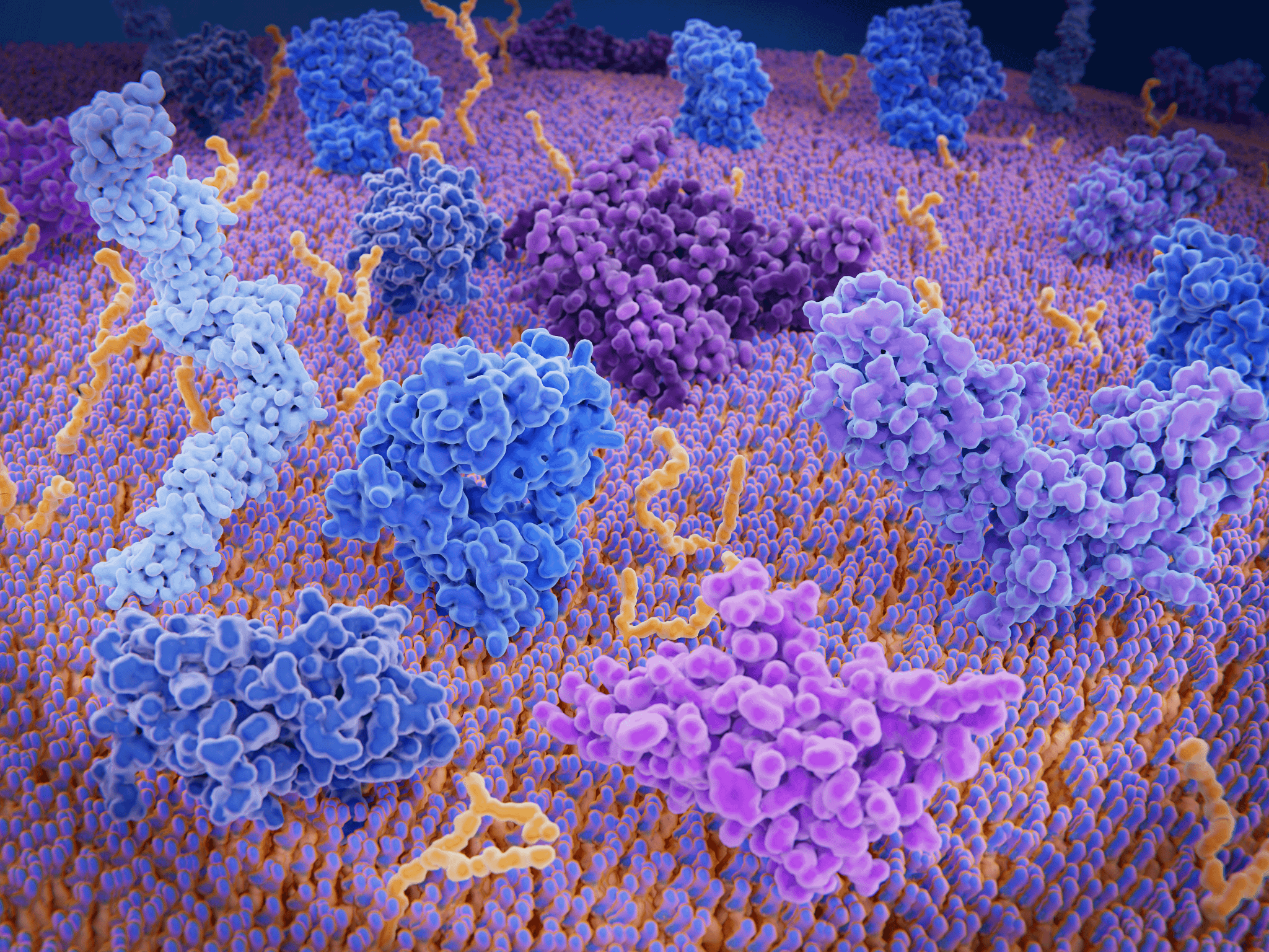 Graphic of Immunologically active proteins on a T-cell
