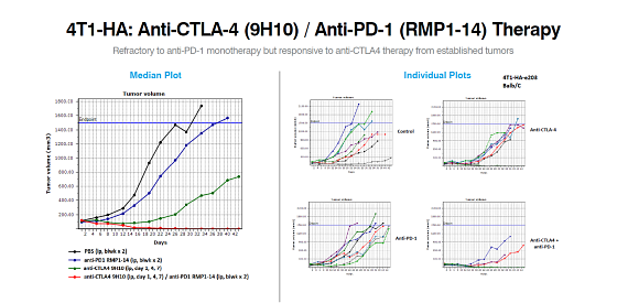 Breast Cancer Syngeneic Models Data