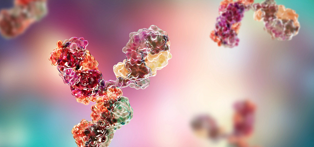 graphic rendering of antibodies
