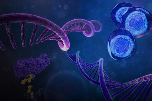 digital rendering of rare disease model