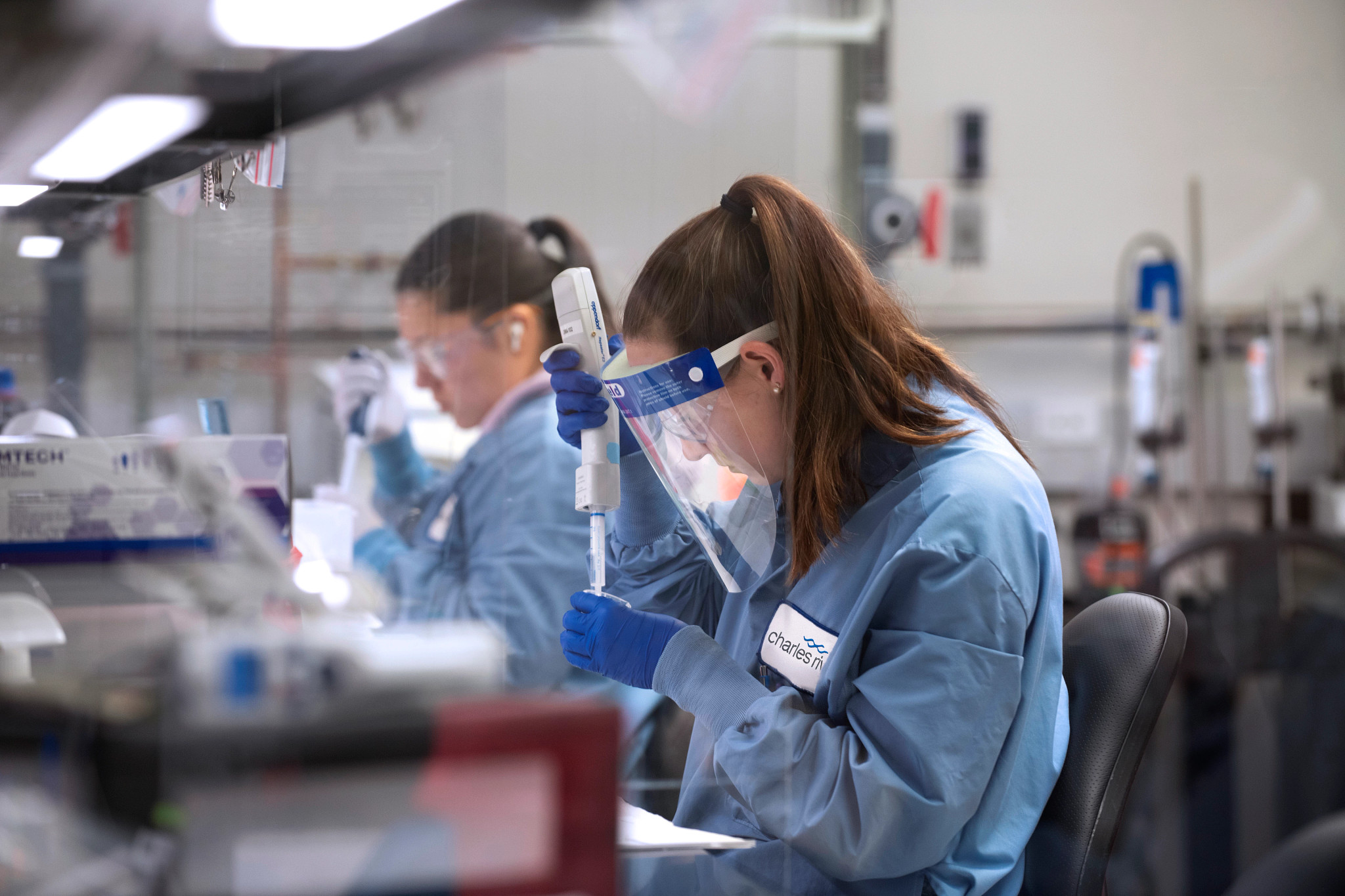 Researcher collects sample