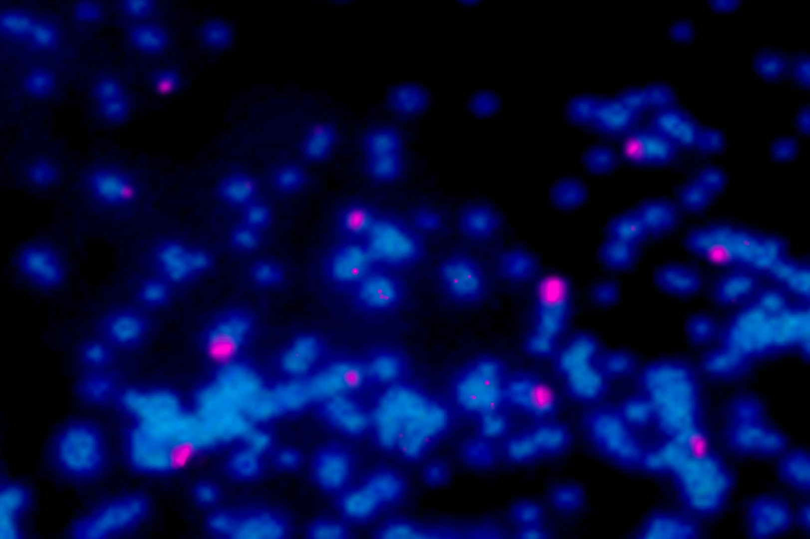 Graphic image of radiation offered as an oncology service at Charles River