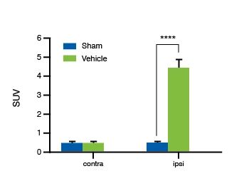 Sciatic Inflammatory Neuritis (SIN) Models Validation Data. Bar chat showing the 18F-FDG uptake at 2 weeks post SIN.